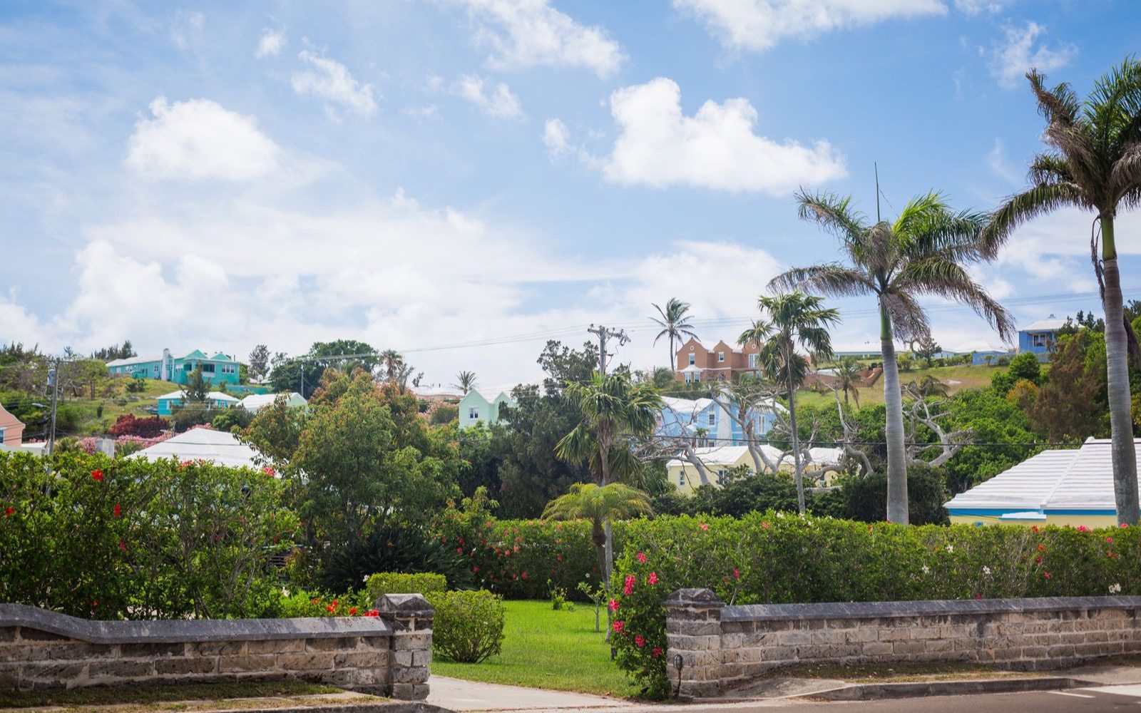 Bermuda's pastel houses among the palms.
