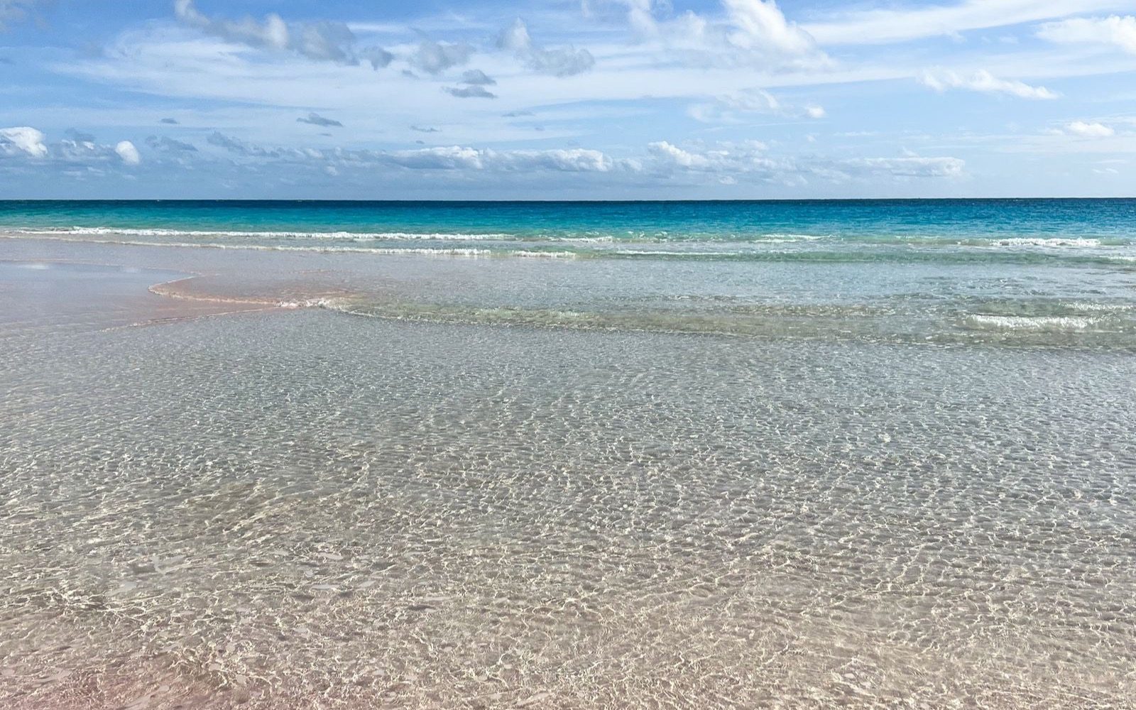 Pink sand beach in Bermuda