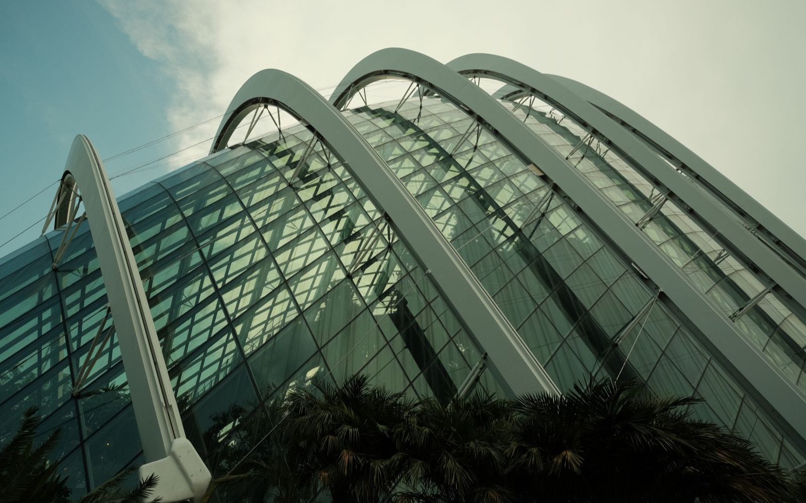 The Cloud Forest dome at Gardens by the Bay.