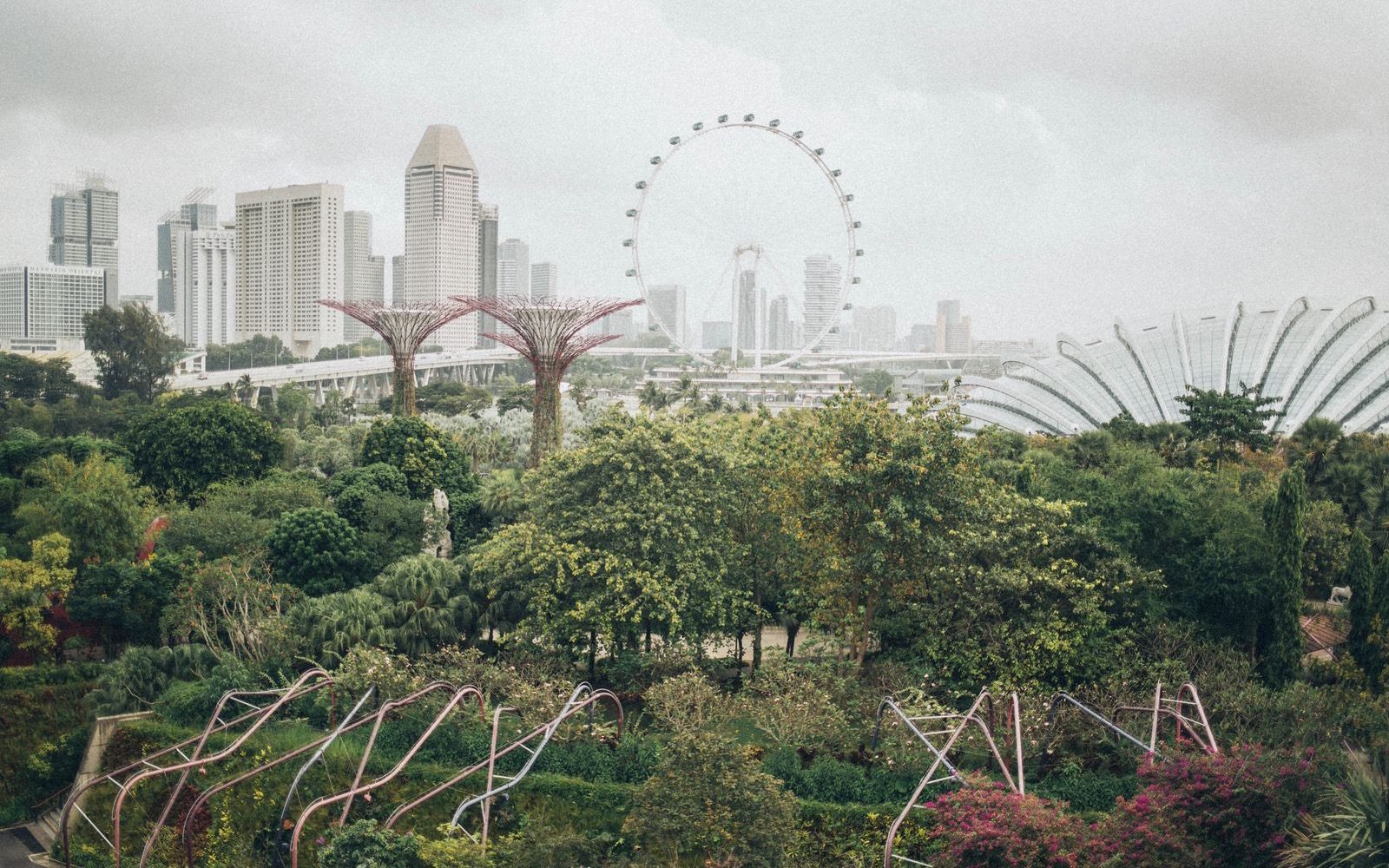 Gardens by the Bay, with the Singapore Flyer beyond.